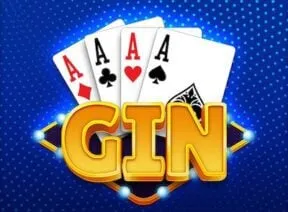 Gin rami