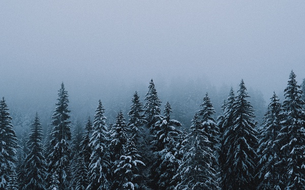 雪