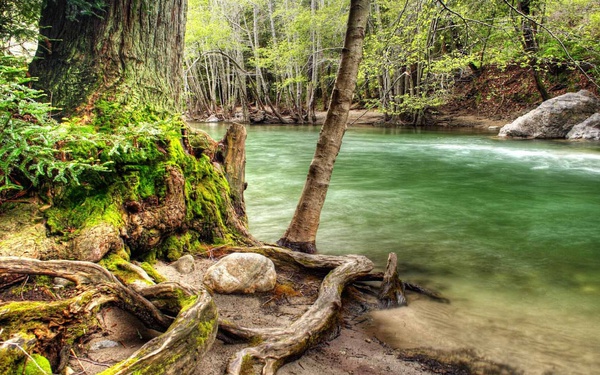 ilog