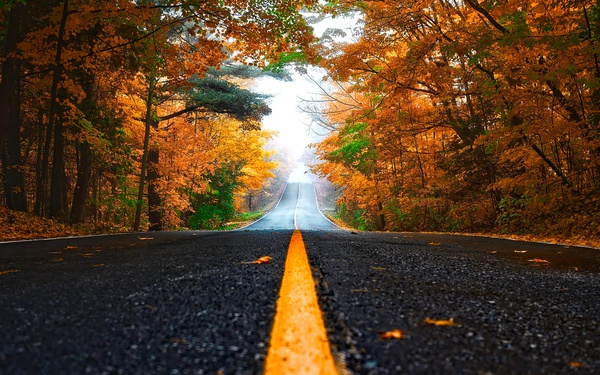 Fall